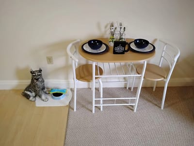 Small dining nook with two chairs and a decorative dog statue