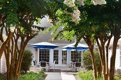 Outdoor seating area with umbrellas and greenery