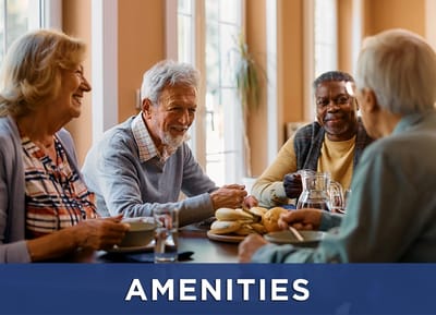 Seniors enjoying a meal together in a communal setting
