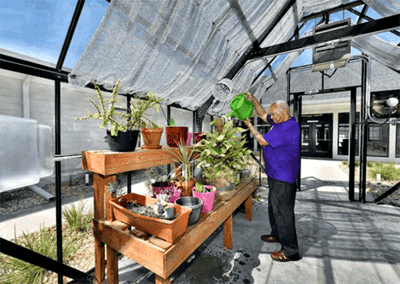 Resident watering plants in a greenhouse