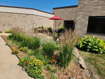 Outdoor garden area with flowers and seating