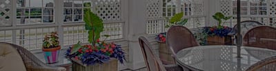 Decorated common area with plants and seating