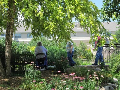 Residents enjoying the garden area on a sunny day