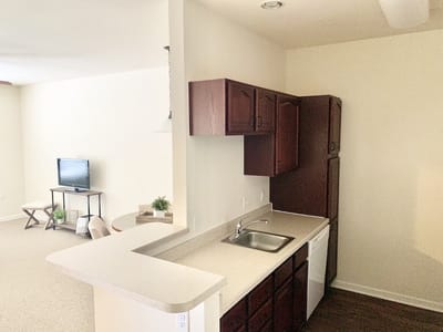 Interior view of a cozy kitchen and living area
