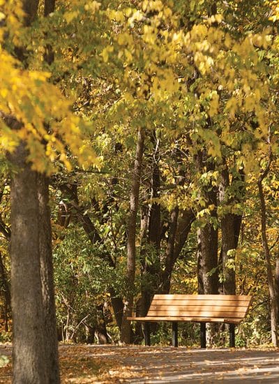 Outdoor bench surrounded by colorful autumn trees