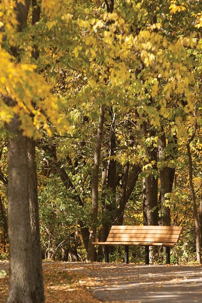 Pathway with a bench surrounded by autumn foliage