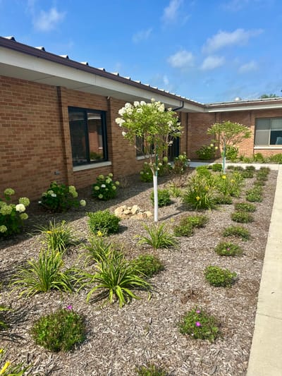 Beautiful landscaped garden with flowers and greenery
