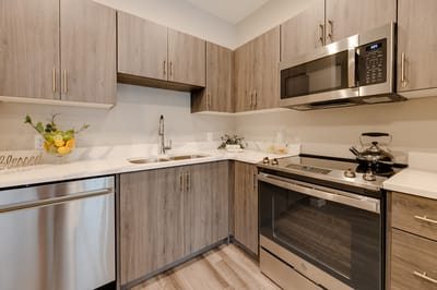 Modern kitchen interior with stylish cabinets and appliances