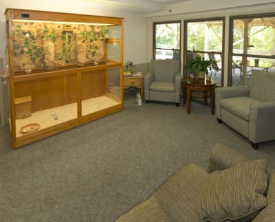 Interior common area with seating and an aquarium