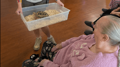 Resident observing a turtle during a program activity