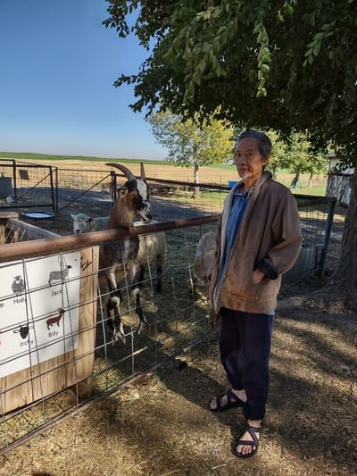 Resident interacting with goats in an outdoor area