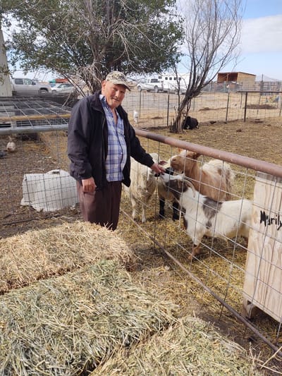 A resident interacting with goats in an outdoor area