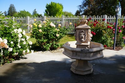 Garden area with flower beds and a fountain