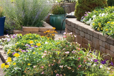 Colorful flower garden with lush greenery