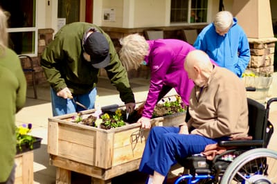 Residents gardening together in an outdoor area