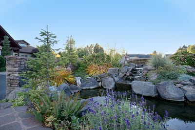 A serene outdoor pond with plants and flowers