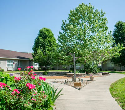Pathway leading through a landscaped garden