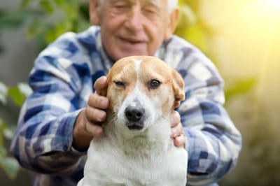 An elderly man petting a dog outdoors