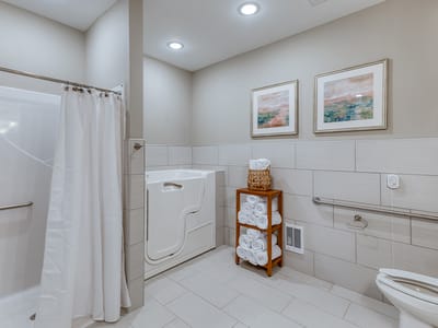 Interior view of a well-lit accessible bathroom
