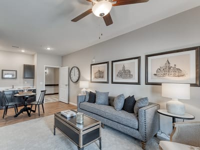 Cozy interior living space with grey sofa and artwork