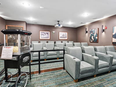Interior of a cinema-style room with comfortable seating
