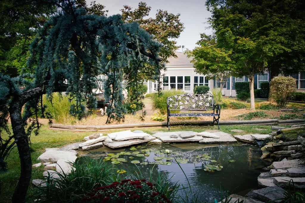 Peaceful garden with pond and seating area