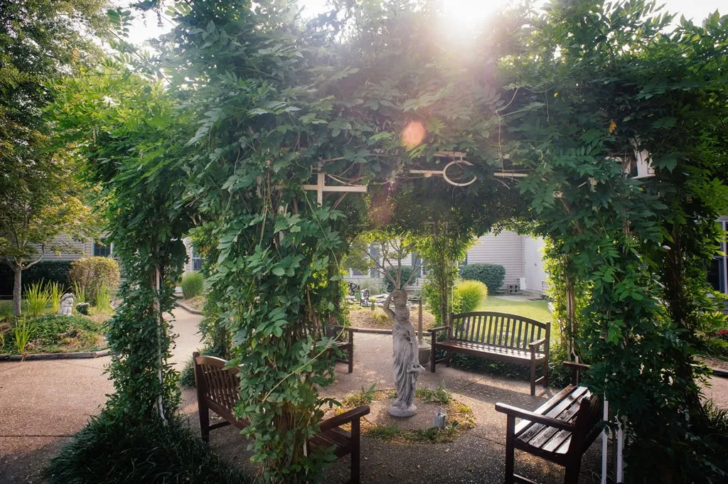 Outdoor seating area surrounded by greenery