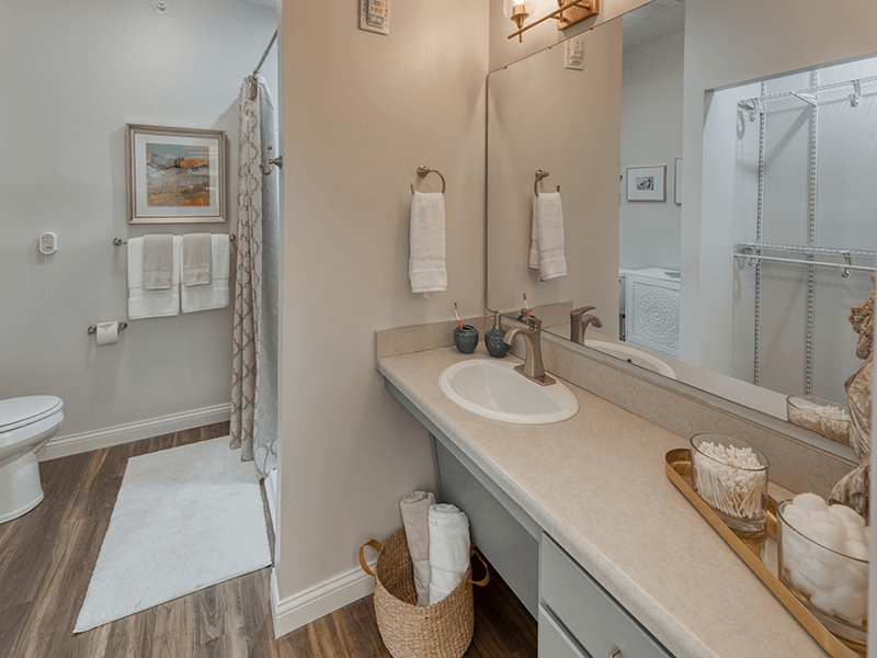 Spacious bathroom with modern fixtures and amenities
