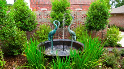 Outdoor water fountain surrounded by greenery