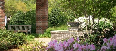 Beautiful garden area with flowers and seating