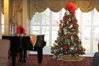 Festively decorated common area with a Christmas tree