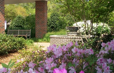 A serene garden area with flowers and seating