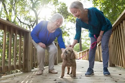 Two residents interacting with a dog on a path