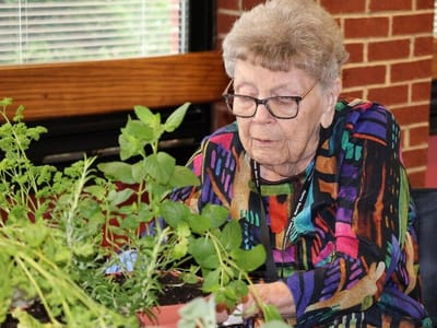 Resident tending to plants in an activity room