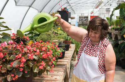 Resident watering plants in a greenhouse