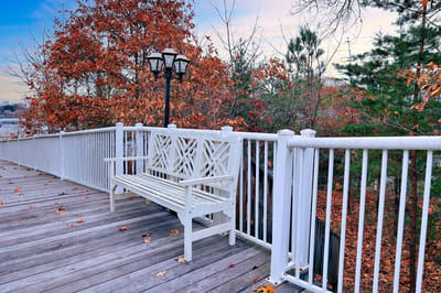 Outdoor bench area with autumn foliage