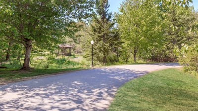 A winding path surrounded by greenery in a serene outdoor space