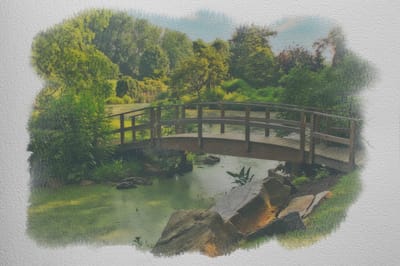 A wooden bridge over a serene garden pond