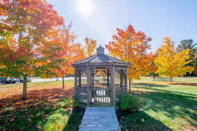 Gazebo surrounded by colorful trees in autumn