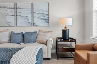 Cozy living room with coastal artwork and modern decor