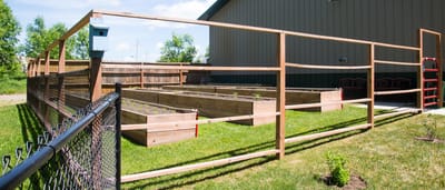 Raised garden beds in a fenced outdoor space