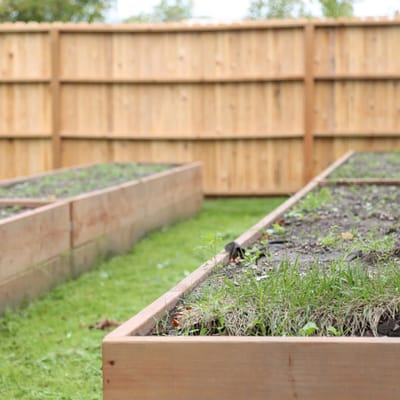 Raised garden beds in an outdoor space