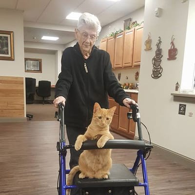 A resident with a cat in an interior hallway