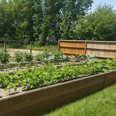 Raised garden beds in a sunny outdoor space