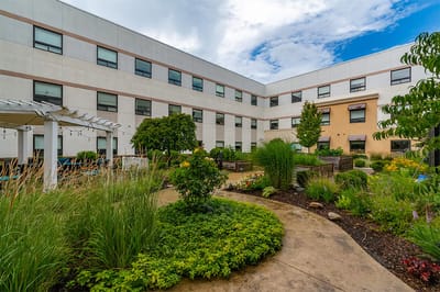 Garden area with walking path and green plants