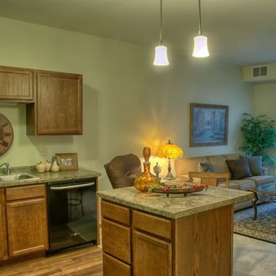 Cozy interior view of a senior living apartment