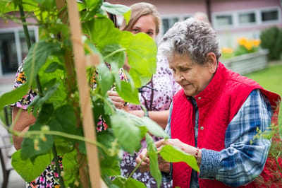 Resident gardening with staff assistance in outdoor space