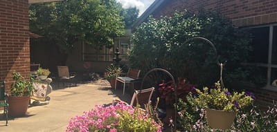 Outdoor garden area with flowers and seating