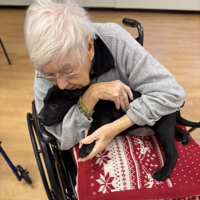 Senior resident enjoying time with a puppy in a communal area