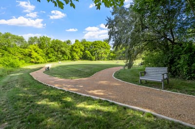 Pathway in a green outdoor area with benches